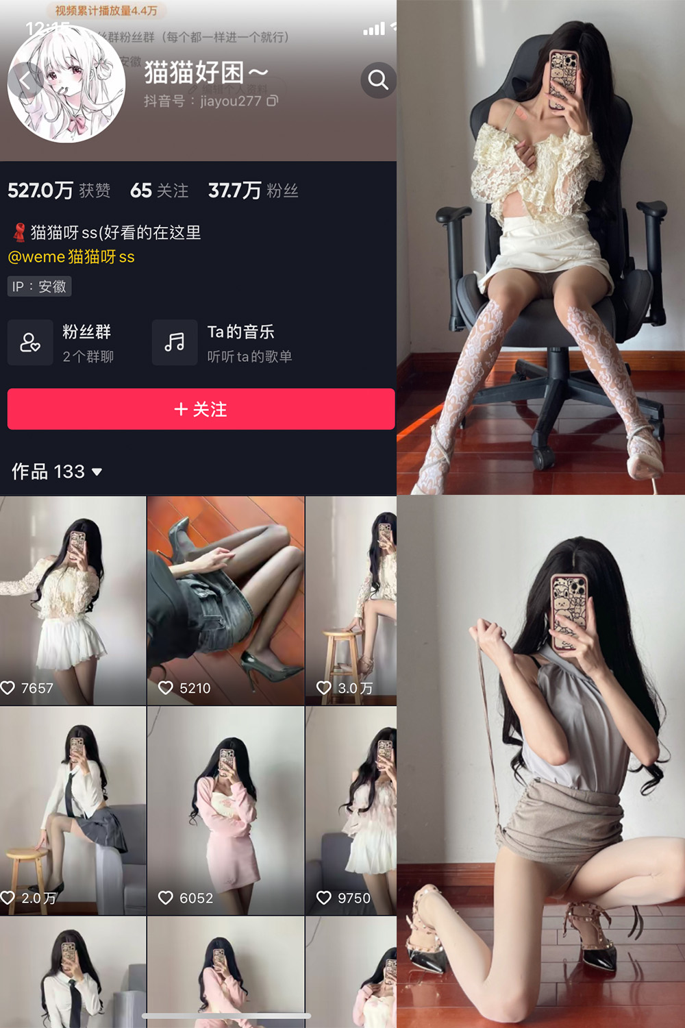 作品:猫猫好困 微密圈 NO.008期预览图 1 作品:猫猫好困 微密圈 NO.008期预览图 1
