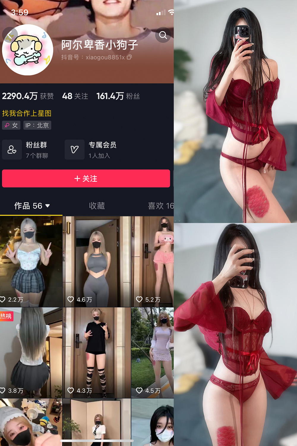 作品:阿尔卑香小狗子 微密圈 NO.056期 更新日期:2024.8.25预览图 1 作品:阿尔卑香小狗子 微密圈 NO.056期 更新日期:2024.8.25预览图 1