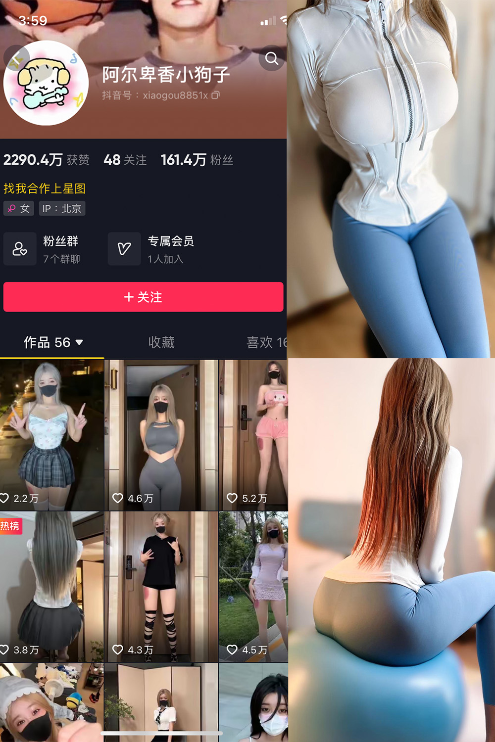 作品:阿尔卑香小狗子 微密圈 NO.029期 更新日期:2023.10.2预览图 1 作品:阿尔卑香小狗子 微密圈 NO.029期 更新日期:2023.10.2预览图 1