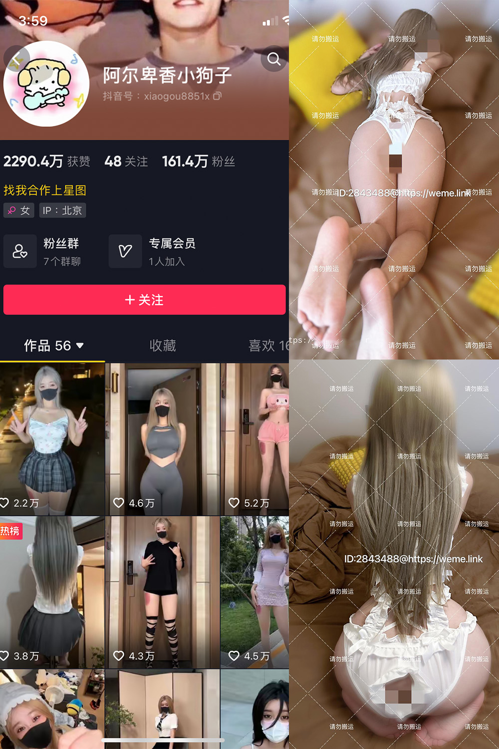 作品:阿尔卑香小狗子 微密圈 NO.018期 更新日期:2023.8.14预览图 1 作品:阿尔卑香小狗子 微密圈 NO.018期 更新日期:2023.8.14预览图 1