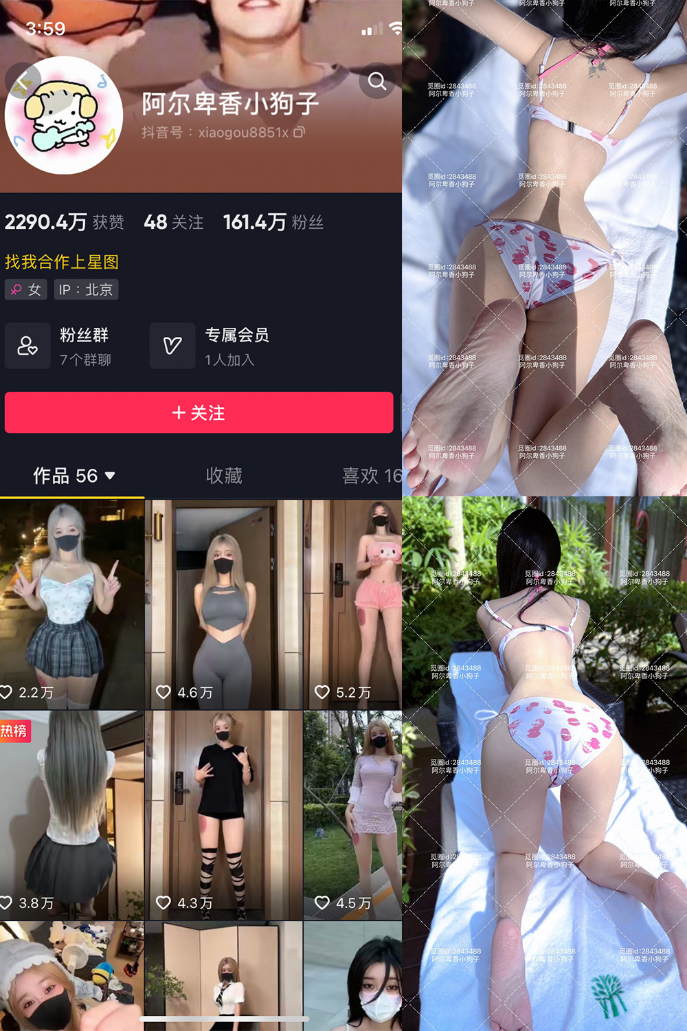 作品:阿尔卑香小狗子 微密圈 NO.060期 更新日期:2025.2.8预览图 1 作品:阿尔卑香小狗子 微密圈 NO.060期 更新日期:2025.2.8预览图 1