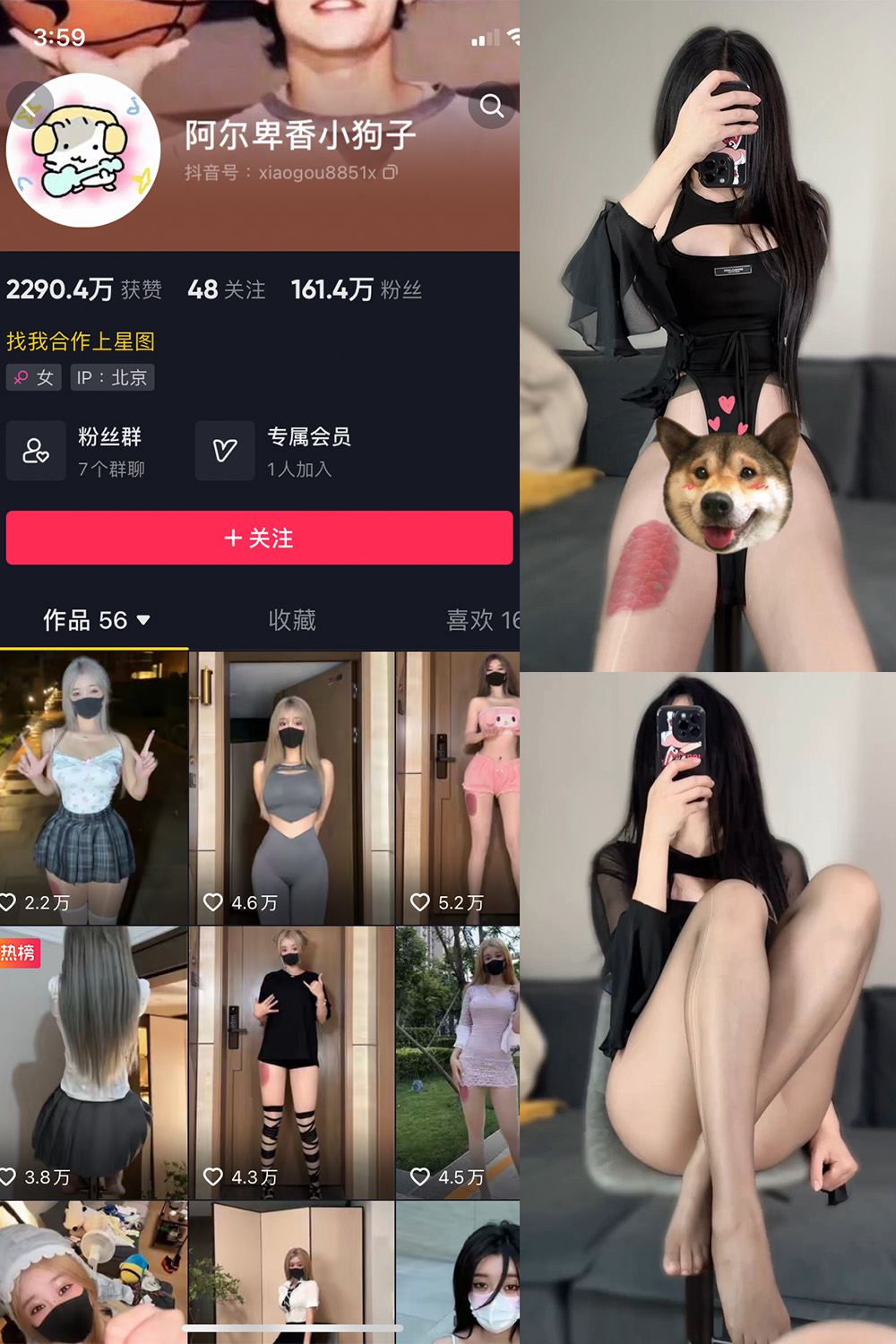 作品:阿尔卑香小狗子 微密圈 NO.026期 更新日期:2023.9.27预览图 1 作品:阿尔卑香小狗子 微密圈 NO.026期 更新日期:2023.9.27预览图 1