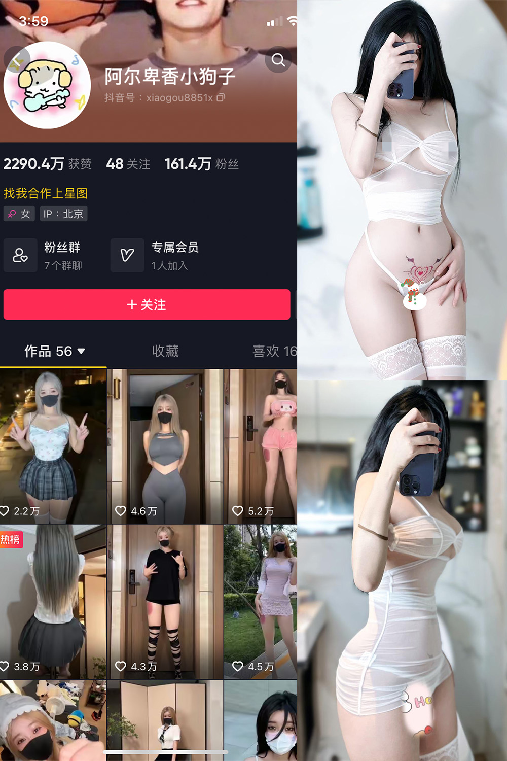 作品:阿尔卑香小狗子 微密圈 NO.051期 更新日期:2024.7.1预览图 1 作品:阿尔卑香小狗子 微密圈 NO.051期 更新日期:2024.7.1预览图 1