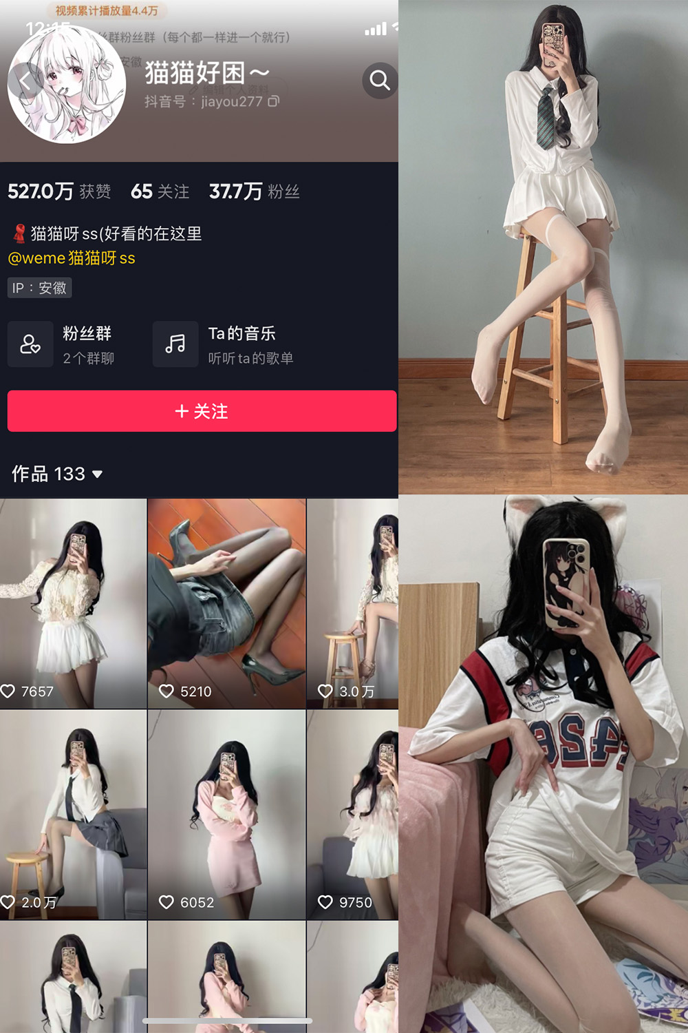 作品:猫猫好困 微密圈 NO.001期预览图 1 作品:猫猫好困 微密圈 NO.001期预览图 1