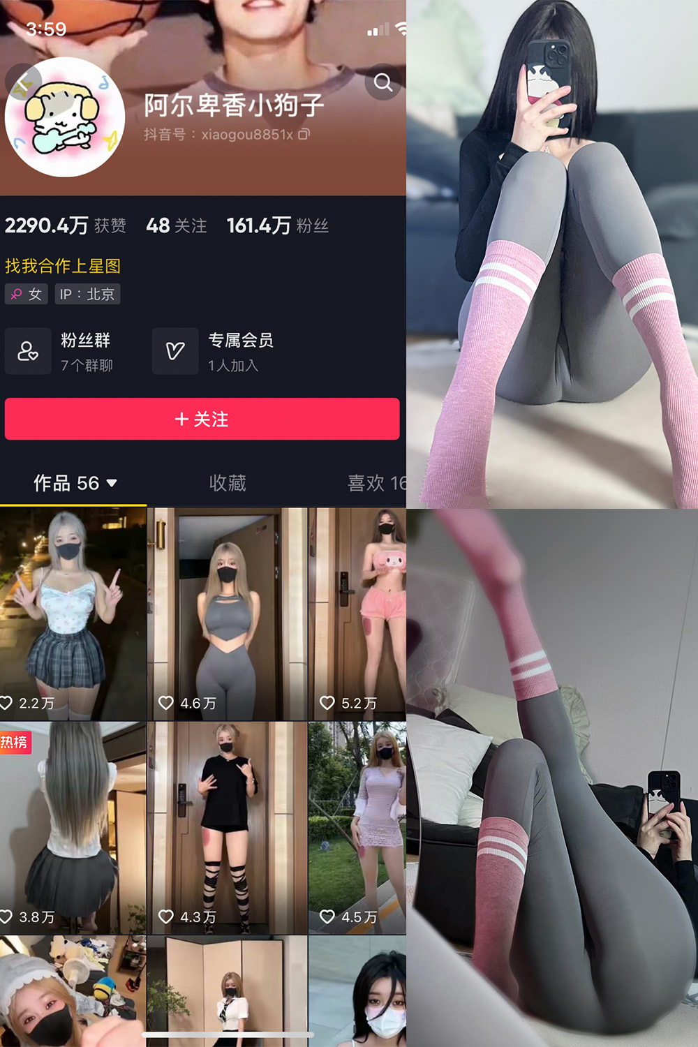 作品:阿尔卑香小狗子 微密圈 NO.038期 更新日期:2023.11.23预览图 1 作品:阿尔卑香小狗子 微密圈 NO.038期 更新日期:2023.11.23预览图 1