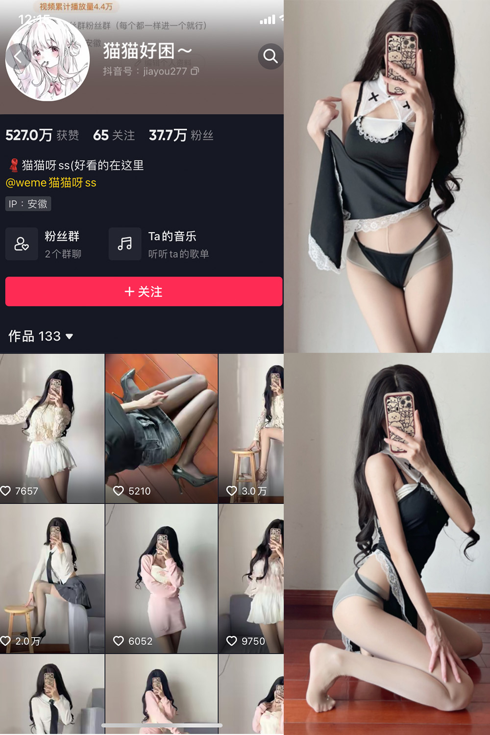 作品:猫猫好困 微密圈 NO.011期预览图 1 作品:猫猫好困 微密圈 NO.011期预览图 1