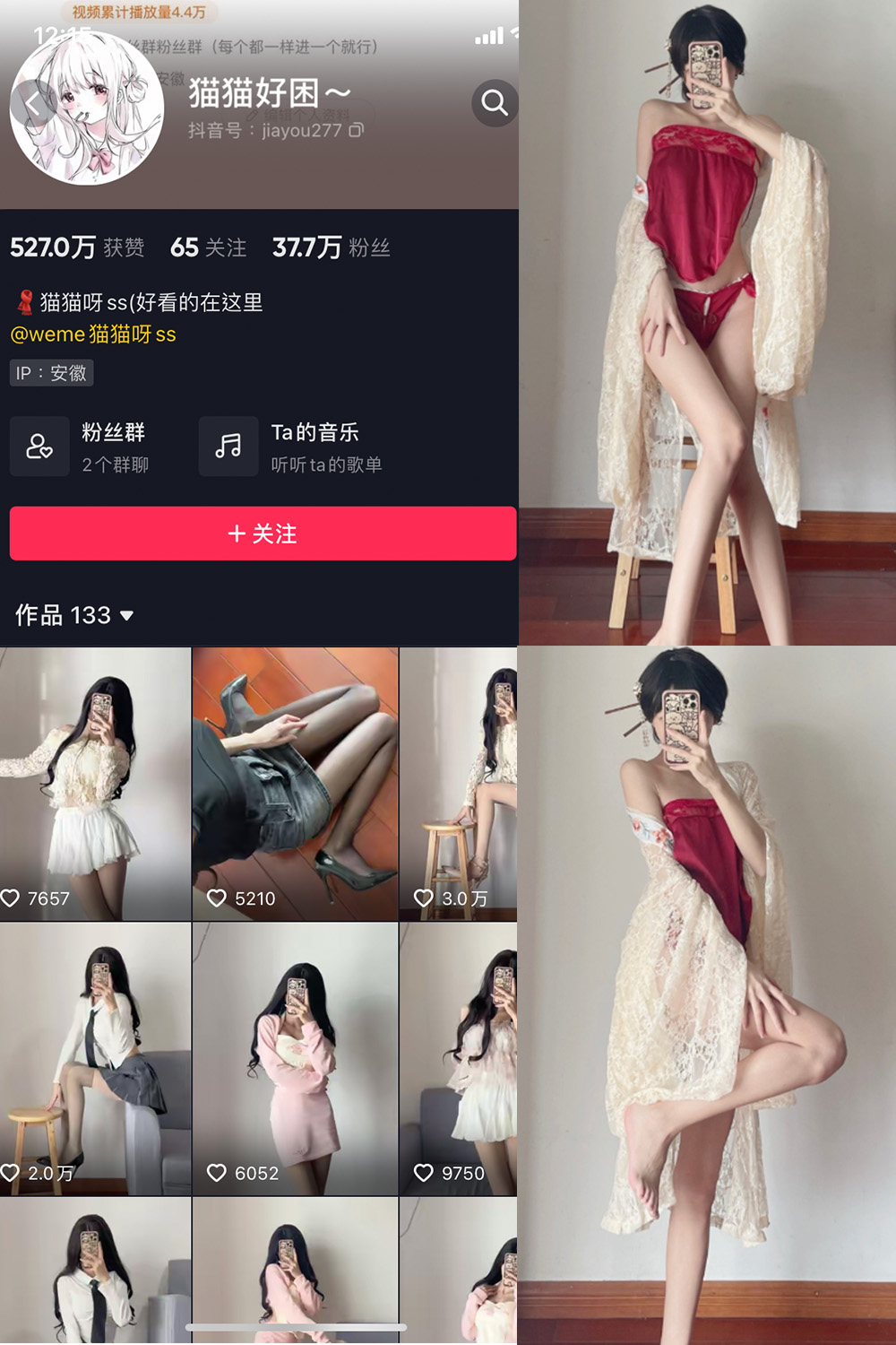 作品:猫猫好困 微密圈 NO.012期预览图 1 作品:猫猫好困 微密圈 NO.012期预览图 1
