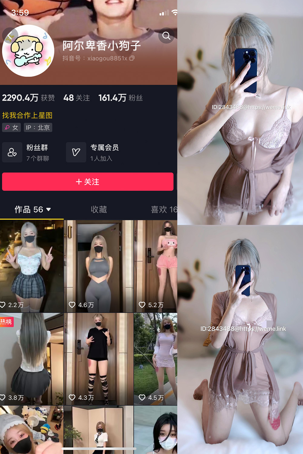作品:阿尔卑香小狗子 微密圈 NO.007期预览图 1 作品:阿尔卑香小狗子 微密圈 NO.007期预览图 1
